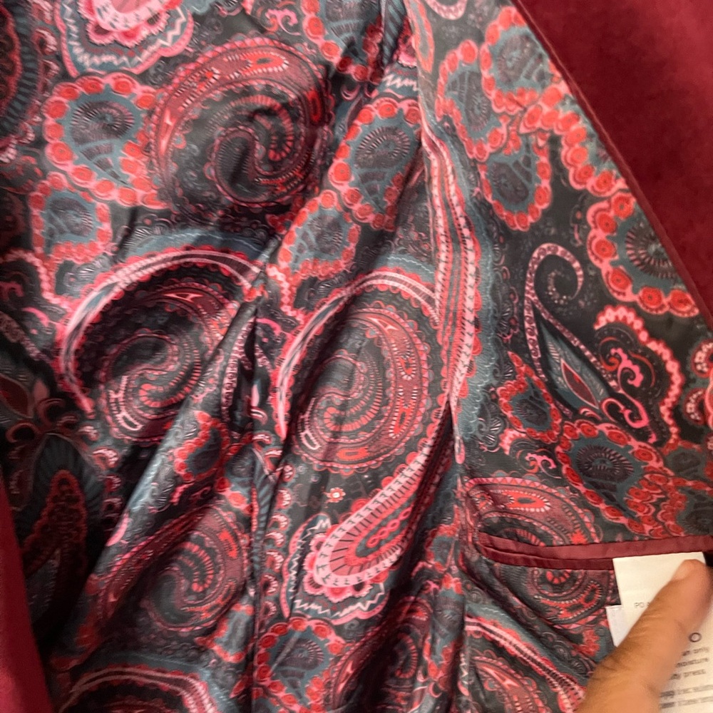 Elegant Double-Breasted Velvet Blazer in Rich Red - Picture 5 of 10